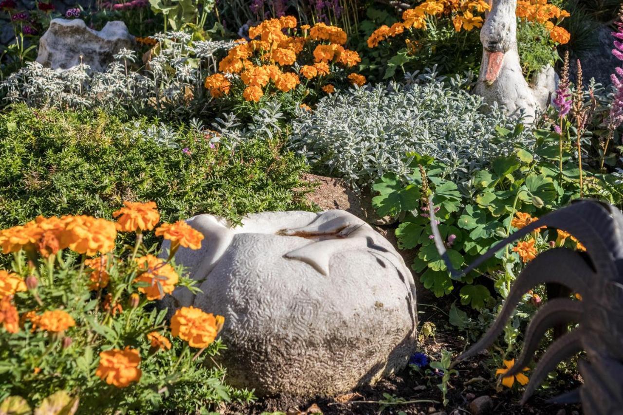 Tonigbauernhof Blumenwiese เชนนา ภายนอก รูปภาพ